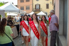 IMG_3672-2025-06-09T13_55_36.433
